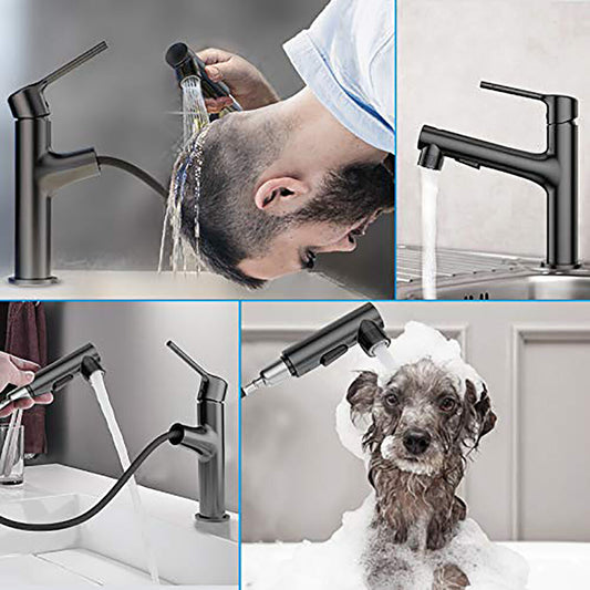 ROBINET DE SALLE DE BAIN DOUCHETTE MITIGEUR EXTRACTIBLE ÉVIER NOIR FONTAINE 1803