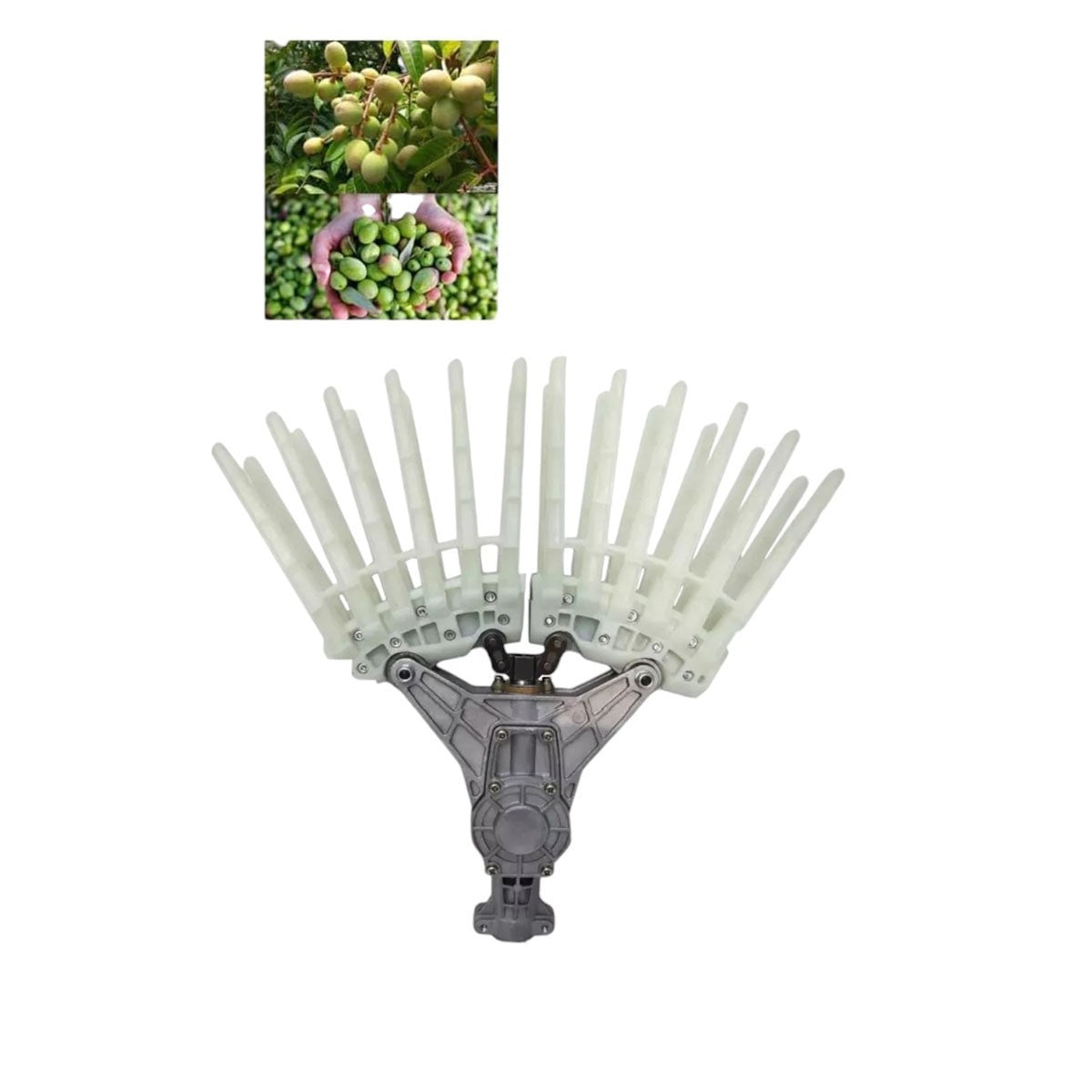 RASTRELLO RACCOLTA OLIVE DENTI PLASTICA CORPO ALLUMINIO ATTACCO UNIVERSALE