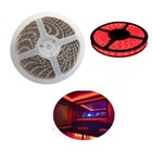 STRISCIA STRIP LED 5050 5M ADESIVA LUCE IP65 12V ROSSO