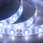 STRISCIA STRIP LED LUCE BIANCO FREDDO 5 MT METRI ADESIVA IP65 300 SMD 5730 0149