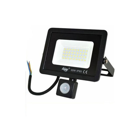 FARO LED FARETTO GIARDINO 30W LUCE FREDDA SENSORE MOVIMENTO CREPUSCOLARE