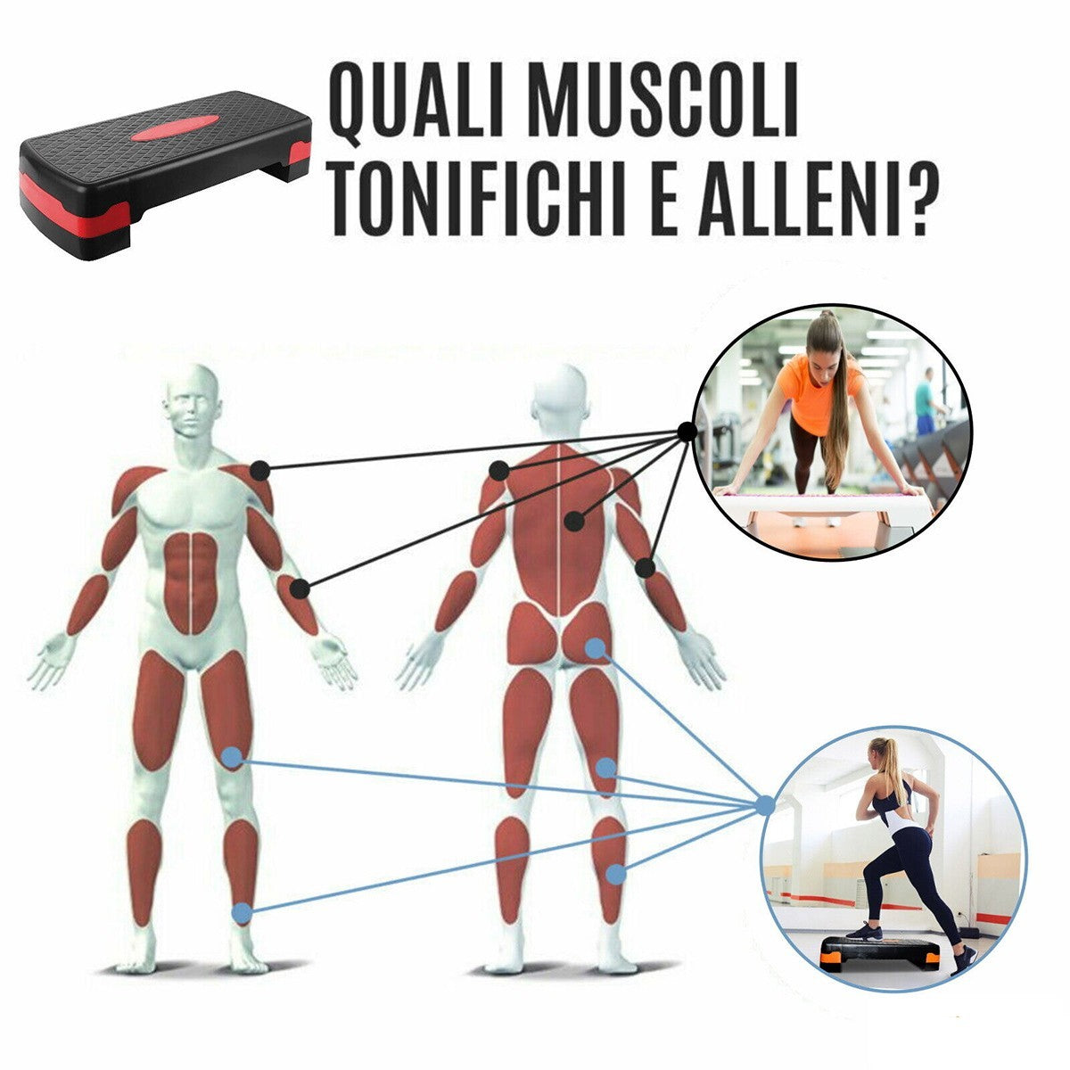 STEPPER AEROBICA PEDANA STEP REGOLABILE 2 LIVELLI CARDIO FITNESS YOGA PALESTRA
