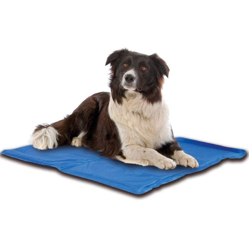 TAPIS MATELAS LIT RAFRAÎCHISSANT FRAIS RÉFRIGÉRANT 50X40 CHIEN CHAT