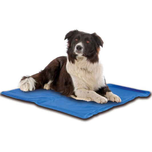 TAPIS MATELAS LIT RAFRAÎCHISSANT FRAIS RÉFRIGÉRANT 50X40 CHIEN CHAT