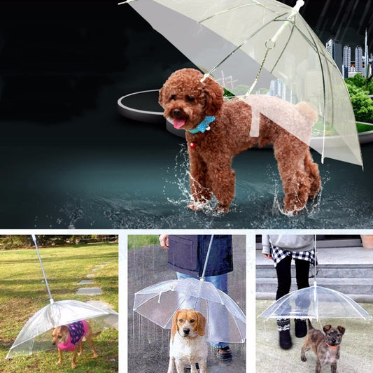 PARAPLUIE LAISSE CHIEN ABRI PLUIE IMPERMÉABLE TRANSPARENT SEC CHIENS