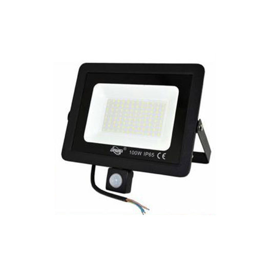 FARO LED FARETTO GIARDINO 100W LUCE FREDDA SENSORE MOVIMENTO CREPUSCOLARE