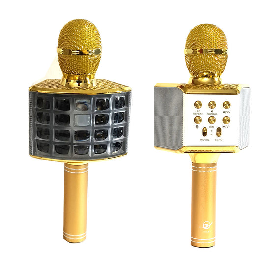 MICROPHONE MÉGAPHONE HAUT-PARLEUR BLUETOOTH KARAOKÉ ENREGISTREUR PROJECTEUR LED RGB