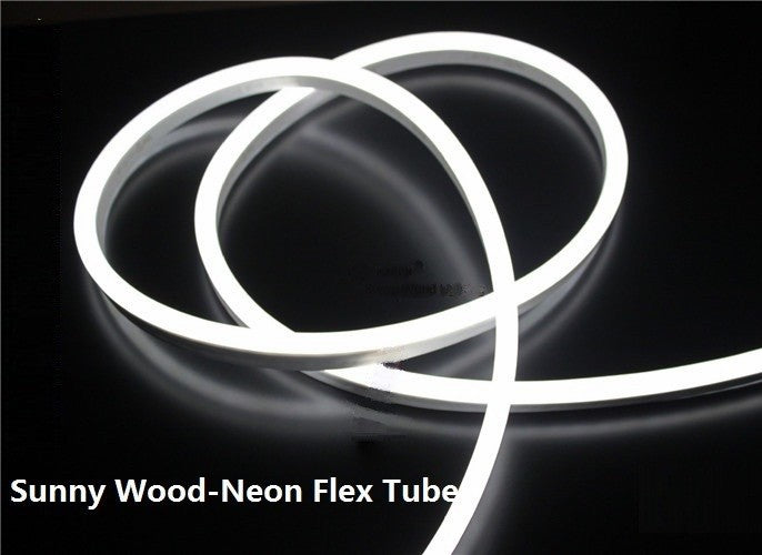 STRISCIA LED 2 MT METRI LUCE FREDDA FLESSIBILE TUBO DECORATIVO NEON IP65 12V