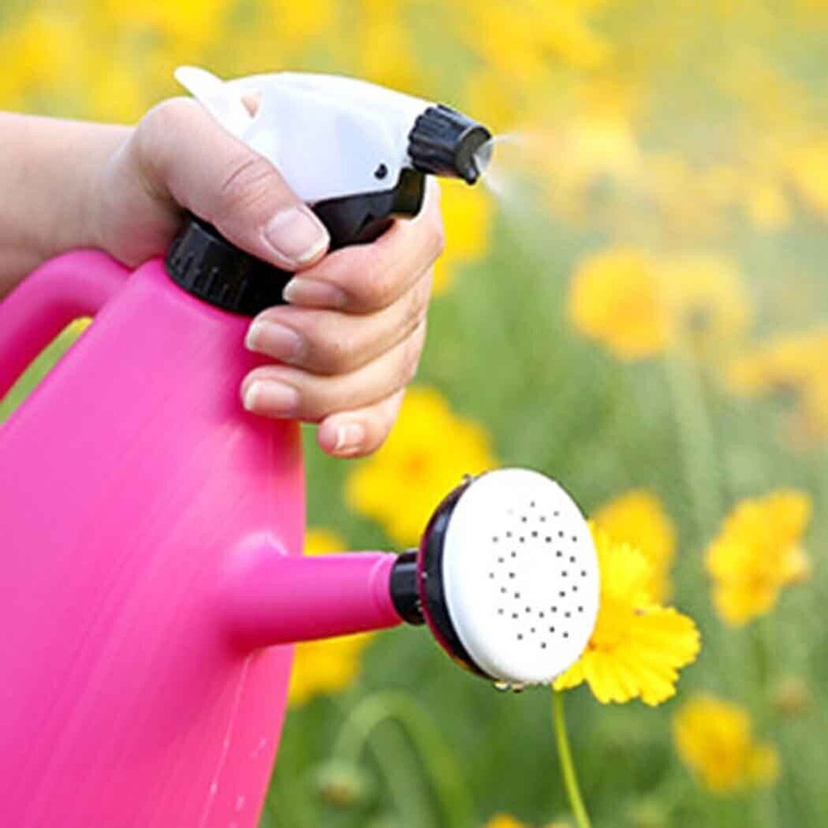 ARROSOIR 2 EN 1 SPRAY PRESSION RÉGLABLE BOUTEILLE 1.5L 19X25