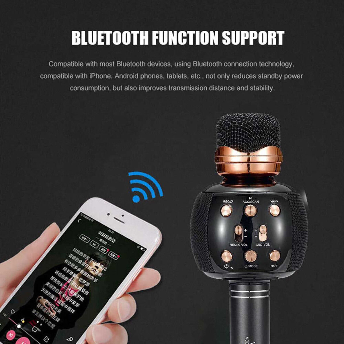 MICROFONO RADIO FM MEGAFONO SPEAKER BLUETOOTH PORTATILE KARAOKE REGISTRATORE SD