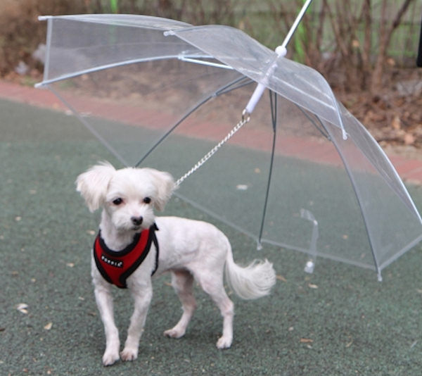 OMBRELLO GUINZAGLIO CANE RIPARO PIOGGIA IMPERMEABILE TRASPARENTE ASCIUTTO CANI