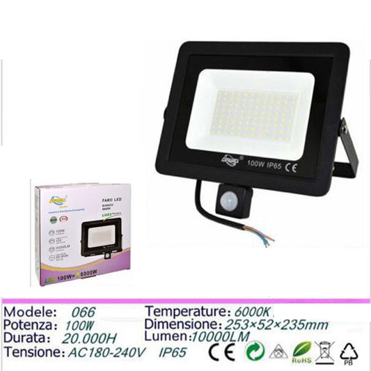 PROJECTEUR LED JARDIN 100W LUMIÈRE FROIDE DÉTECTEUR MOUVEMENT CRÉPUSCULAIRE