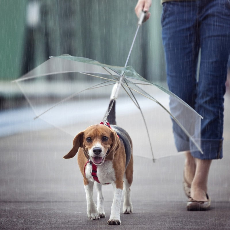 OMBRELLO GUINZAGLIO CANE RIPARO PIOGGIA IMPERMEABILE TRASPARENTE ASCIUTTO CANI
